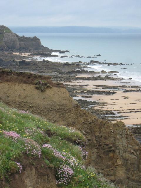 Devon cliffs and beach by Sarah Laurence