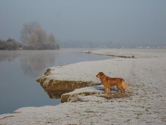 port meadow frost photo by Sarah Laurence