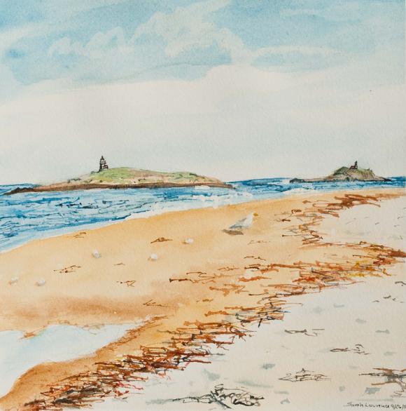 watercolor painting of island with lighthouse and seagull on Popham beach in Maine