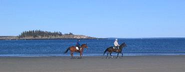 horses on Popham Beach