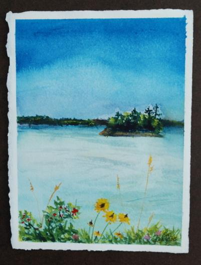 googins island and wildflowers watercolor by sarah laurence