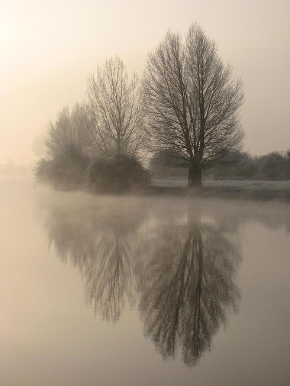 Port Meadow photo by Sarah Laurence