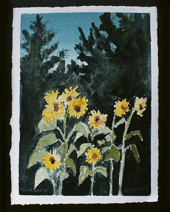 sunflower watercolor by Sarah Laurence
