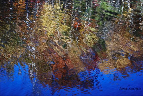 pond reflection of fall foliage photo